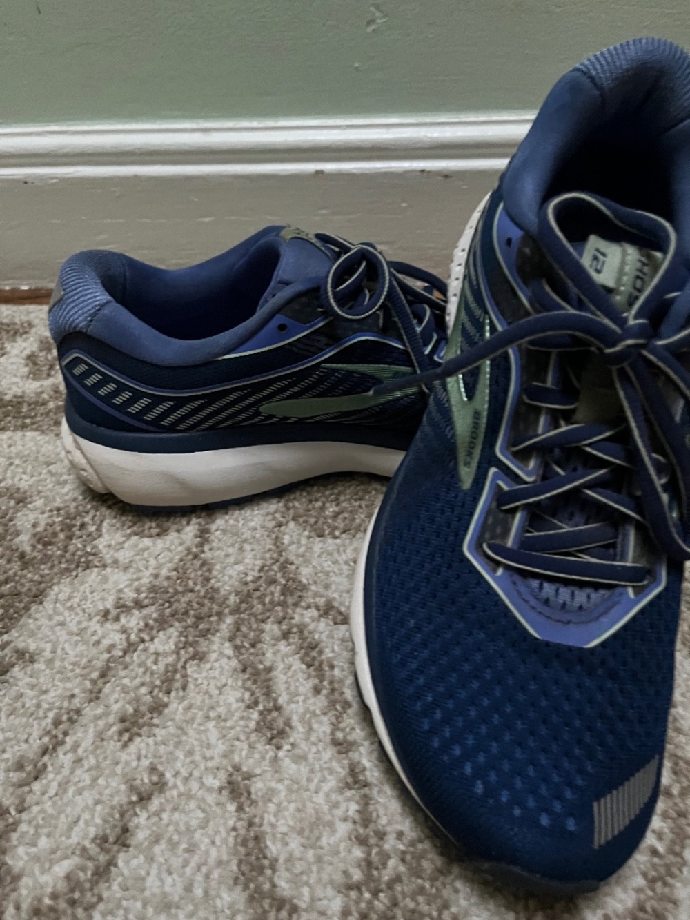 Brooks women’s size 9,5 ghost 12 shoe